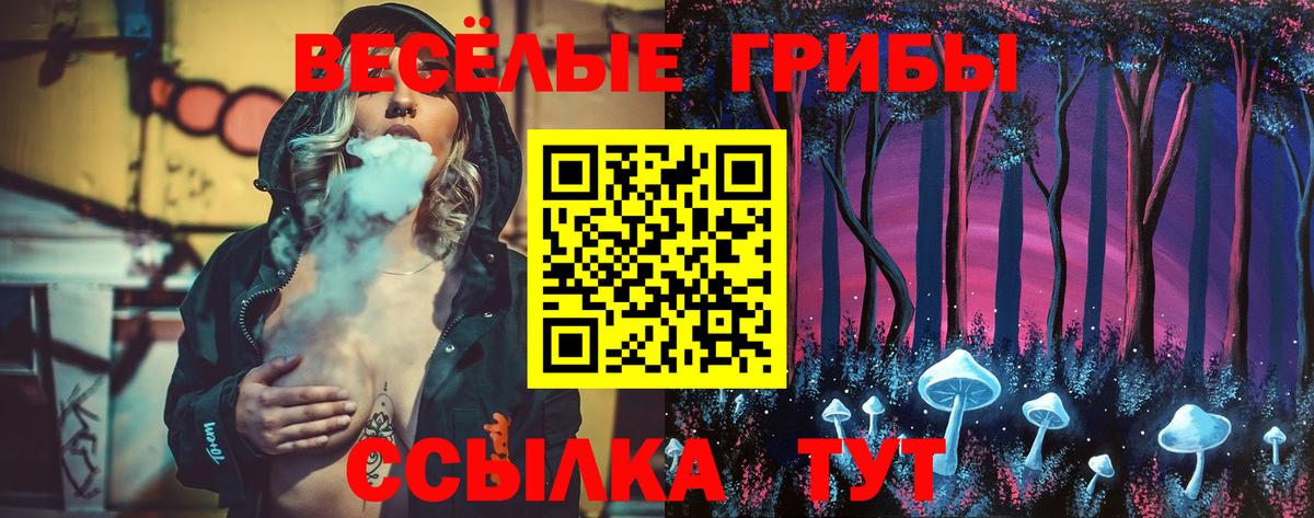 Псилоцибиновые грибы Psilocybine cubensis  Псилоцибиновые грибы MAGIC MUSHROOMS  Арзамас  Вход с VPN 
